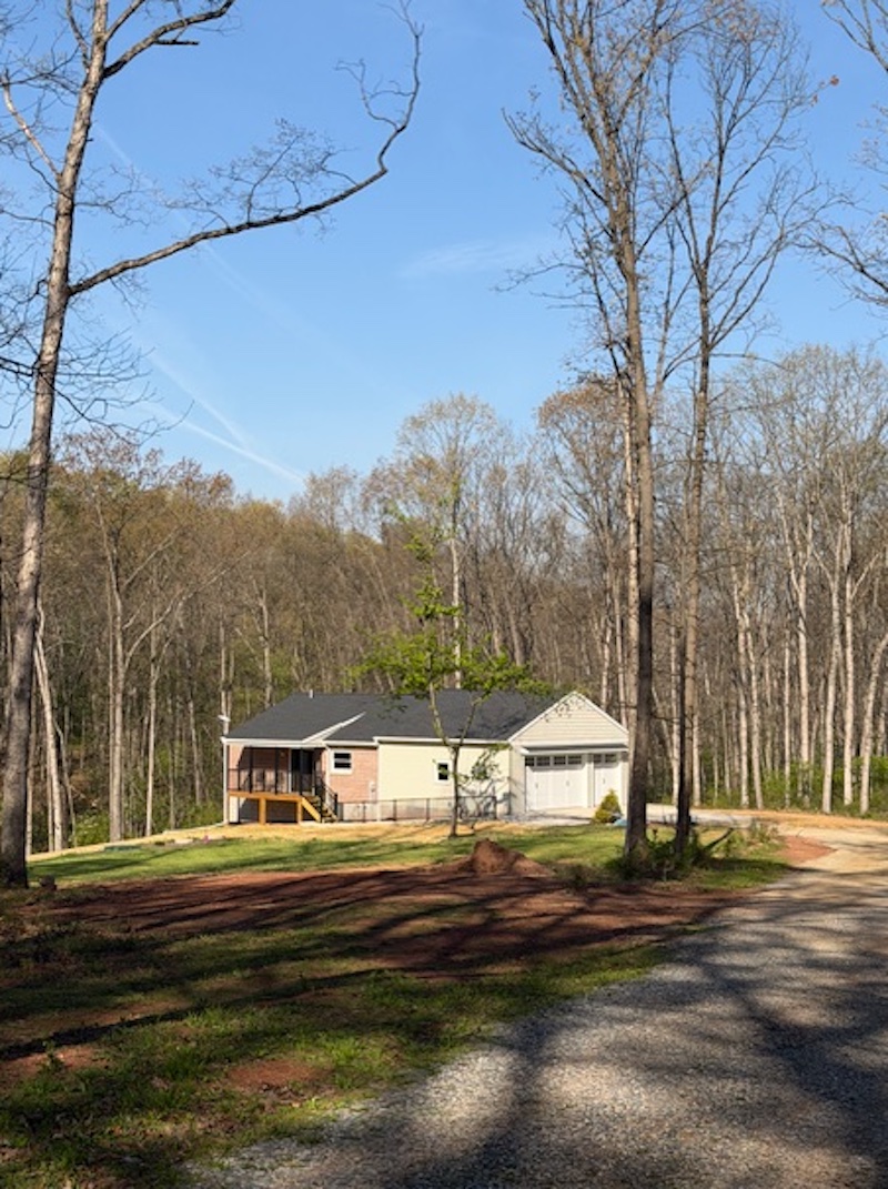 Tall trees, fresh air, and wildlife