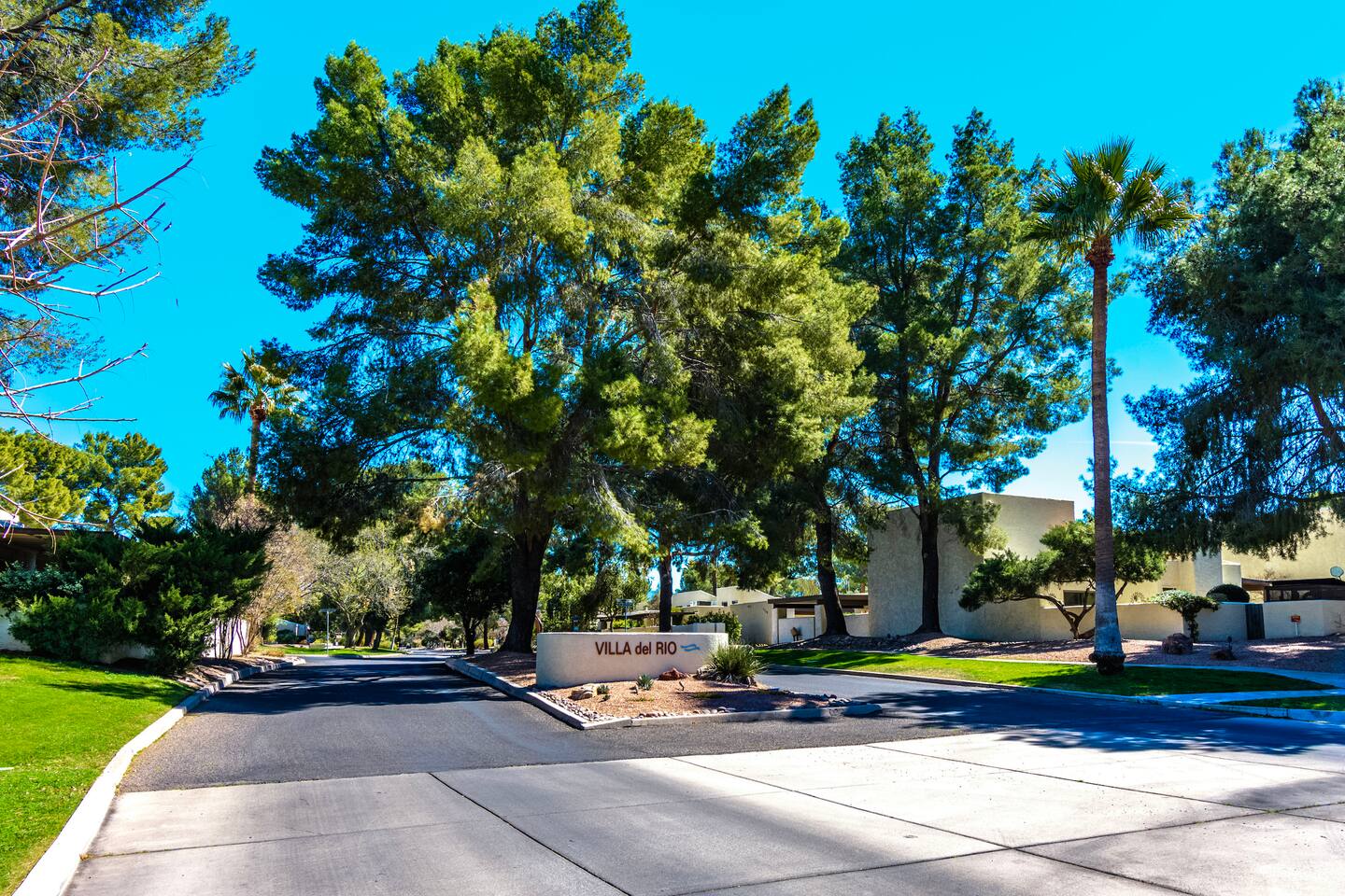 Neighborhood entry featuring large share trees.