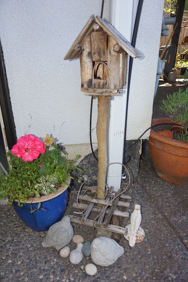Some garden art you will find around