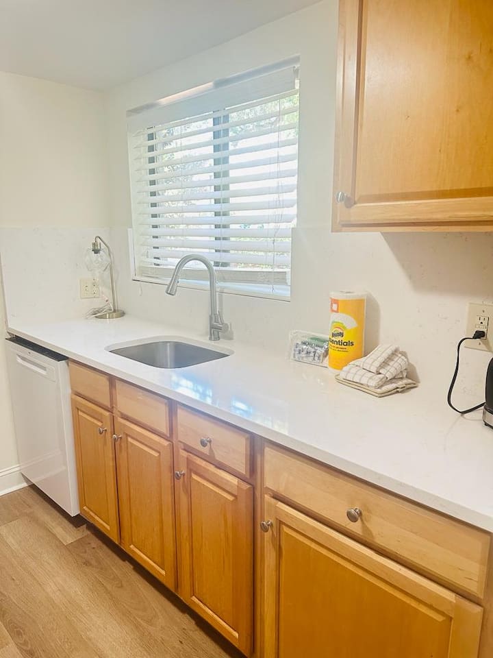 Kitchen counter and dishwasher