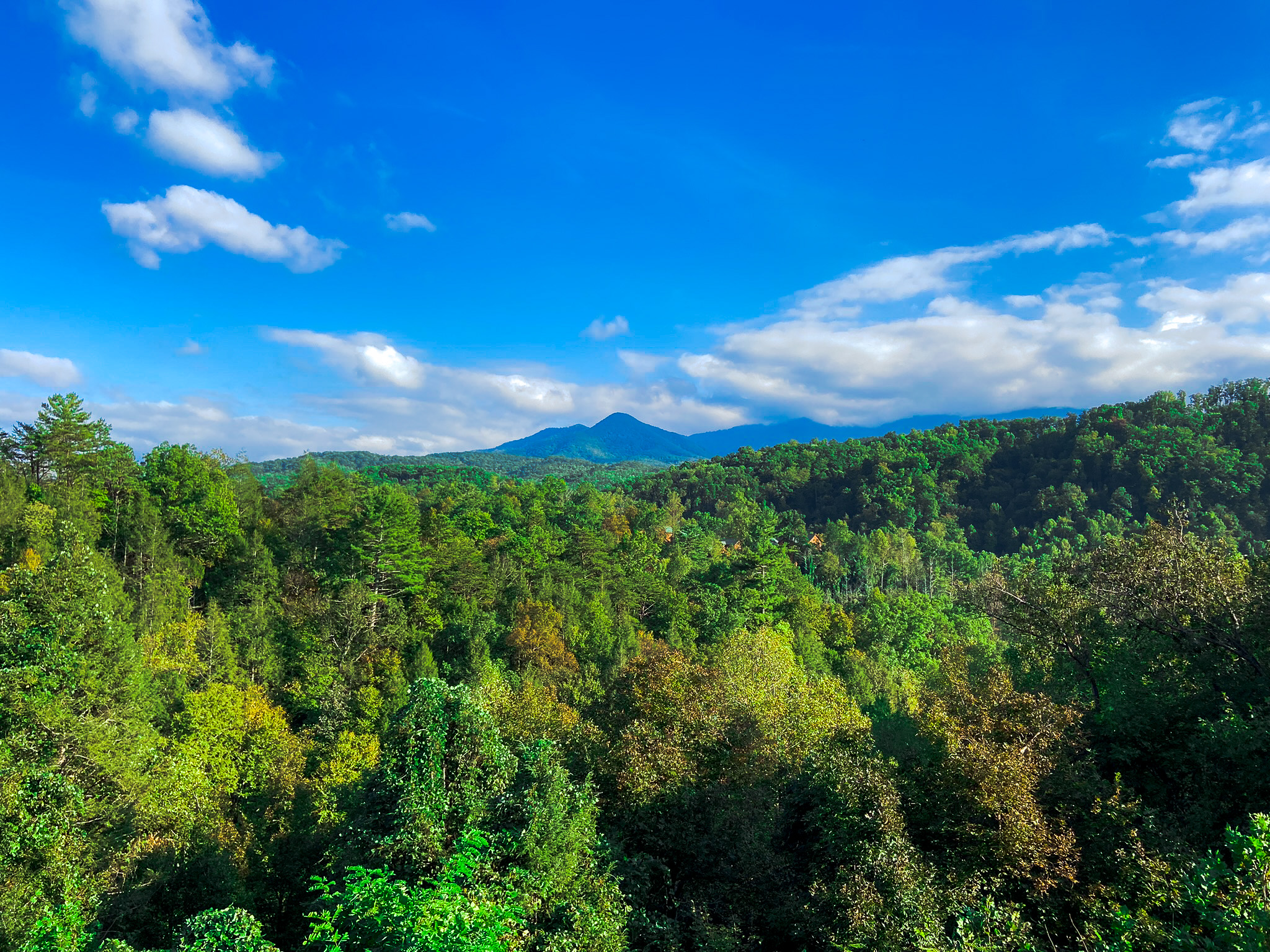 Stunning view of Mt LeConte from the upper deck