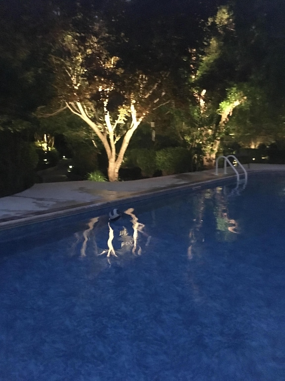 Landscape lighting by pool