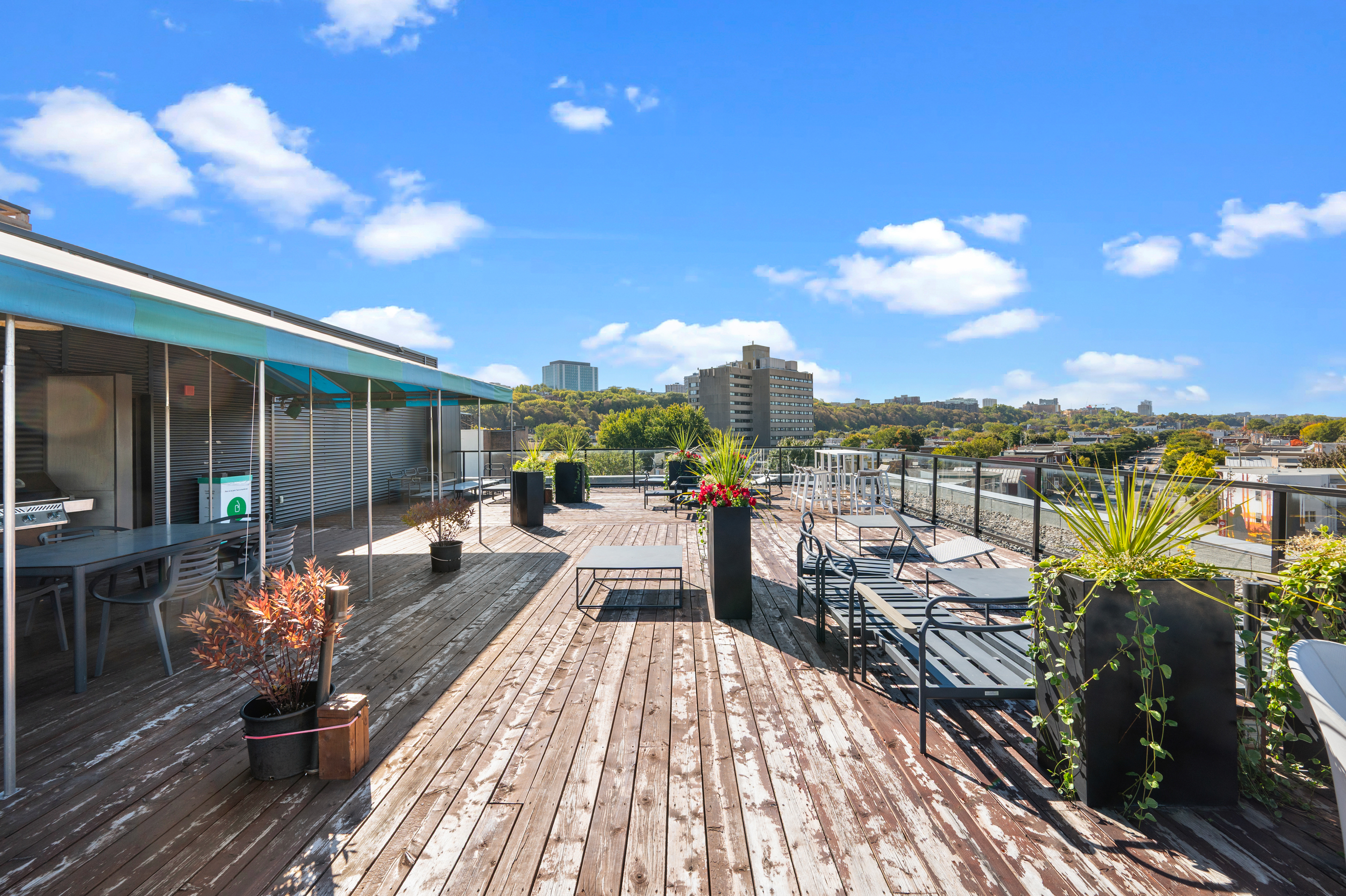 Rooftop