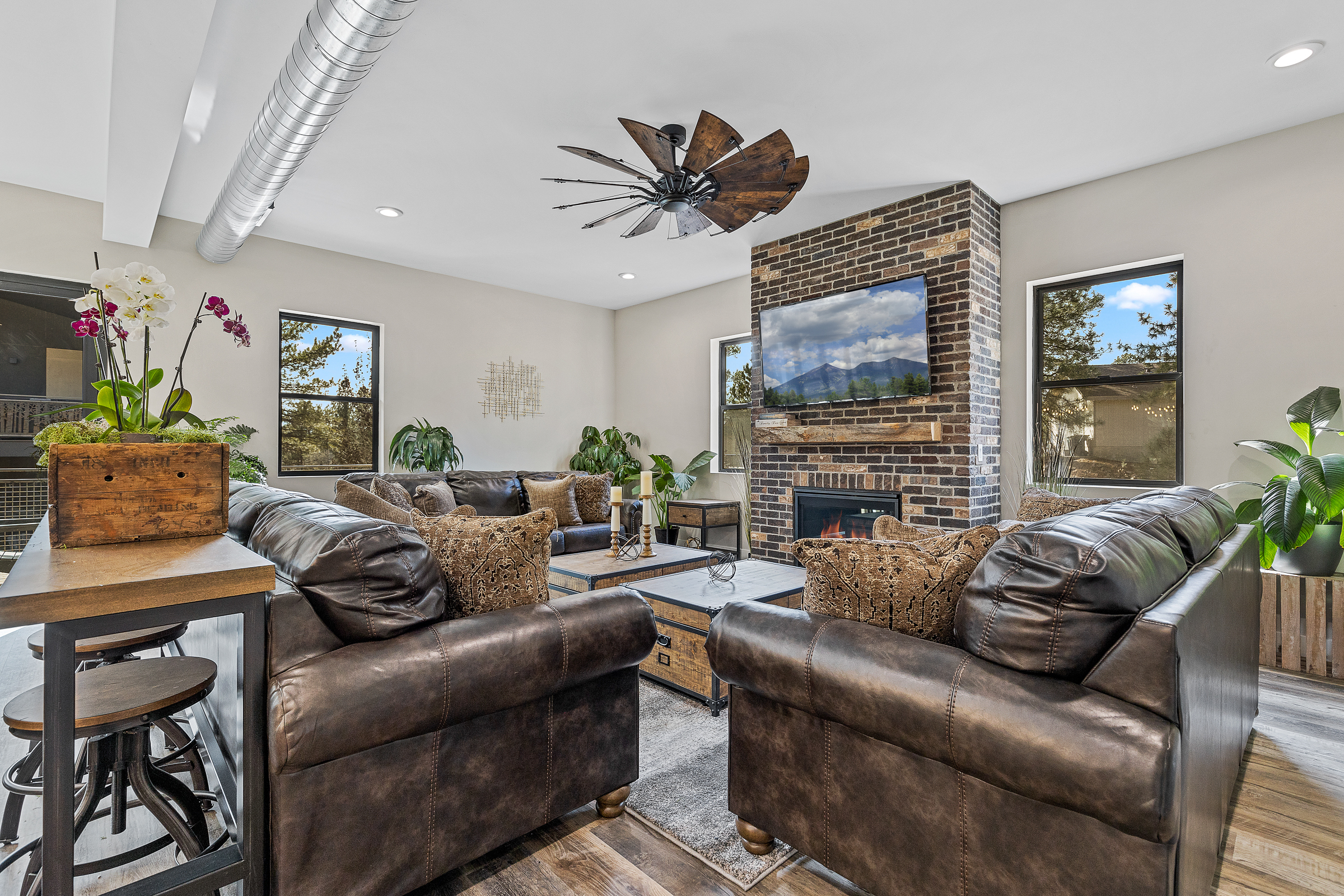 Living Room mid level