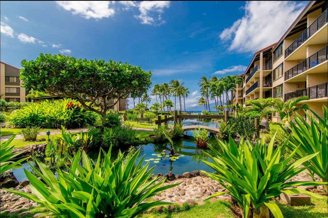 Tropical landscaping that makes your Instagram followers jealous