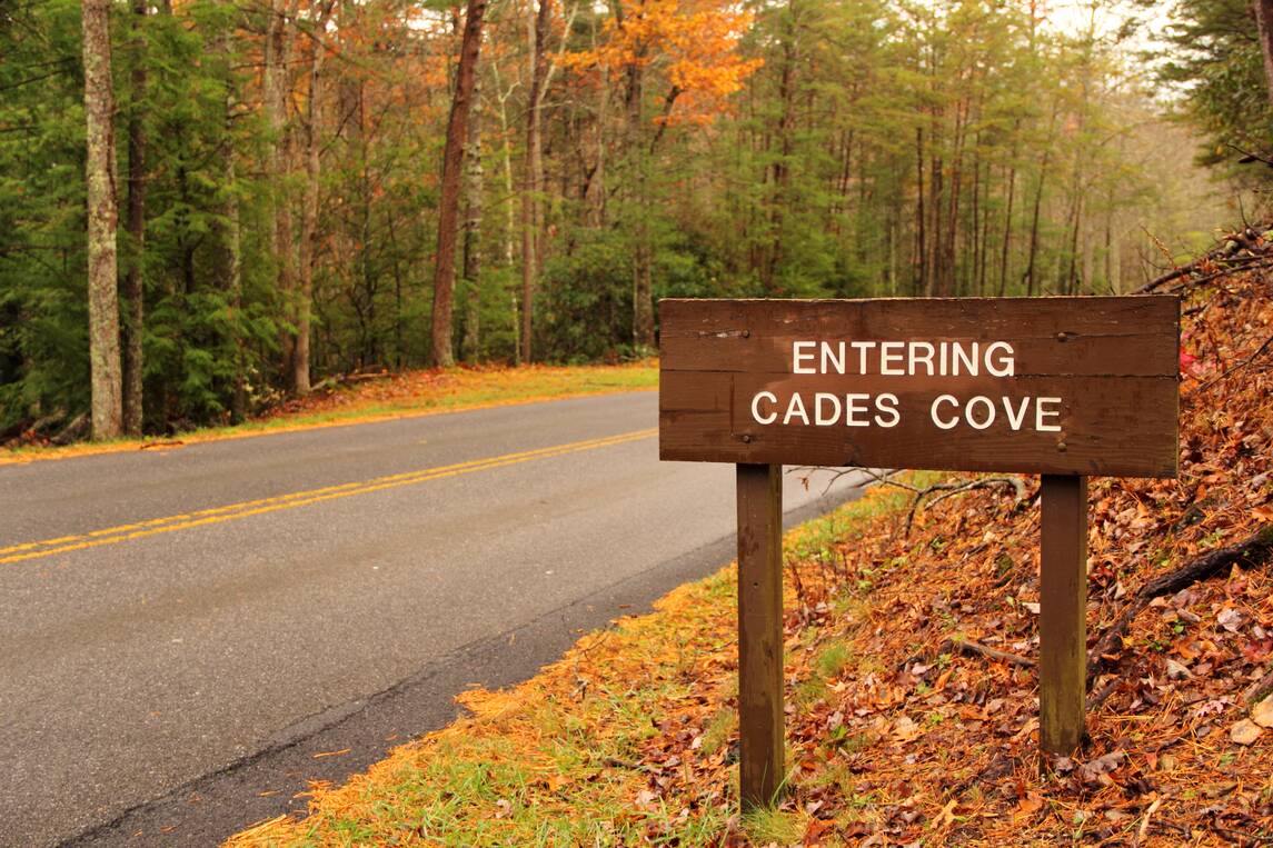 Cades cove