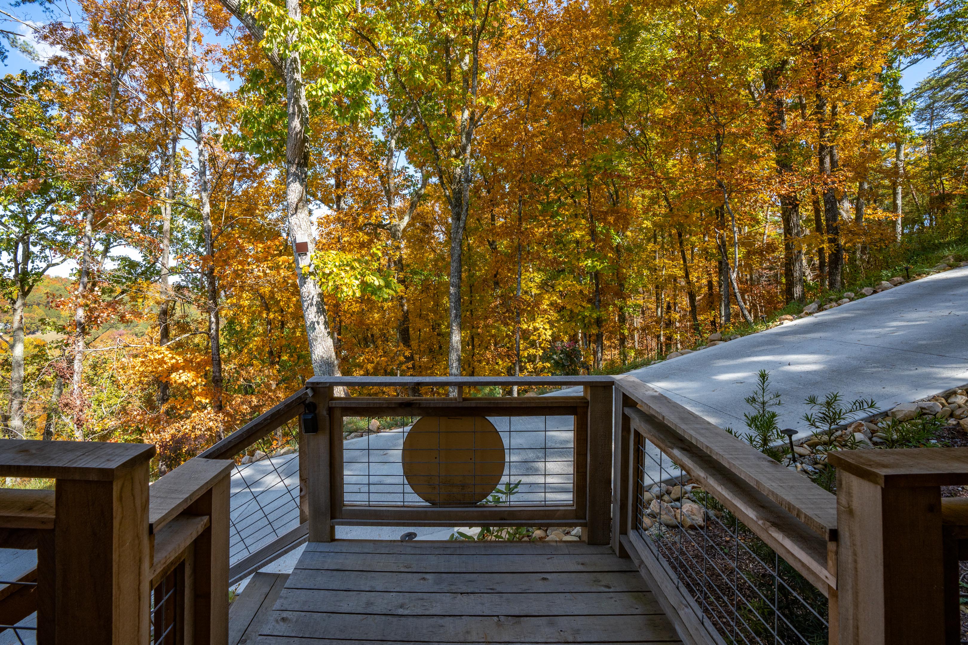 Fall foliage around Juniper