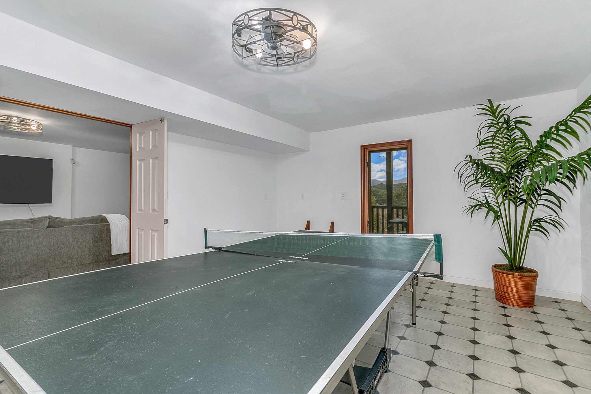 Basement Gameroom with Ping Pong Table