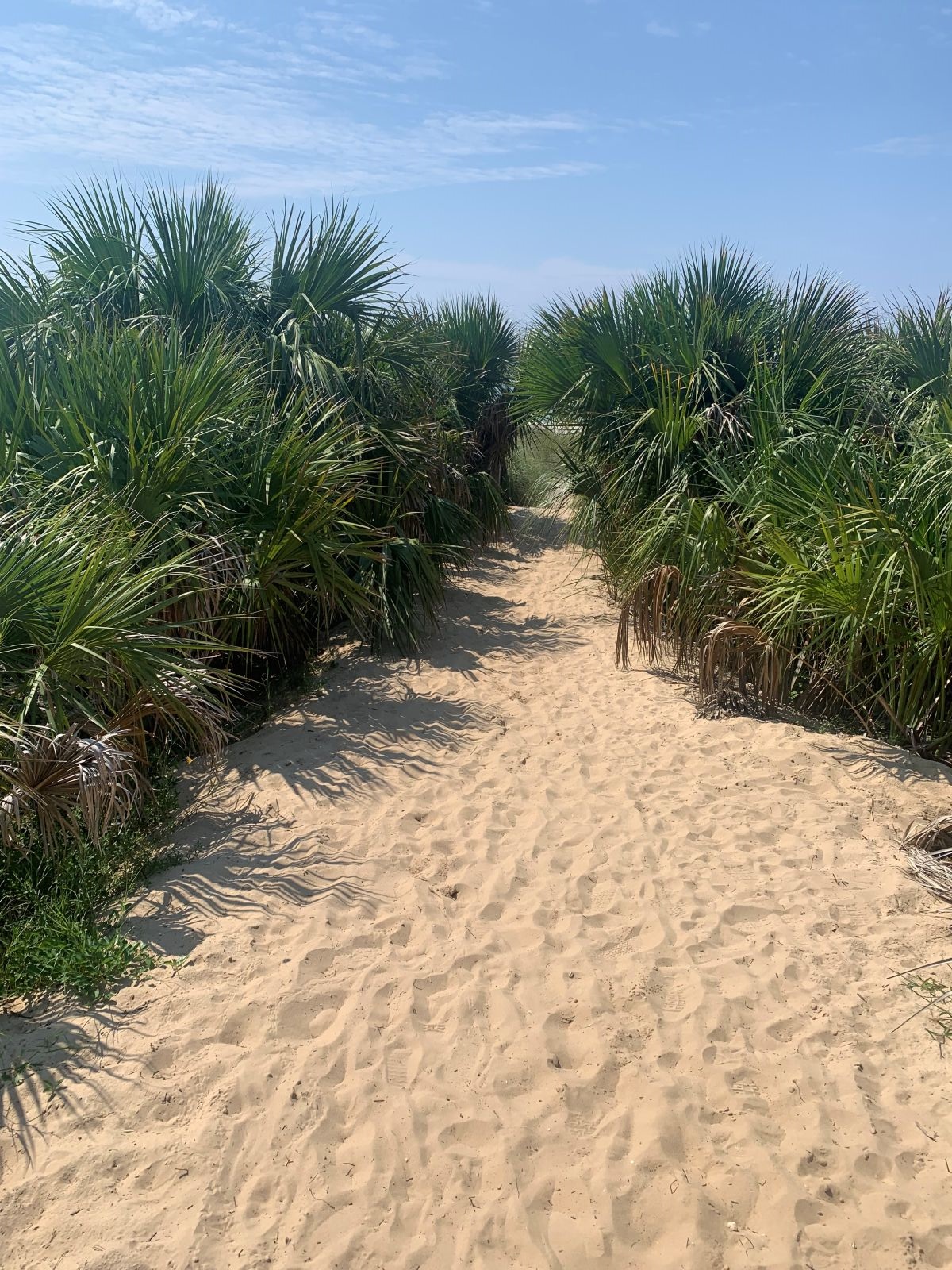 Enchanted path to beach!