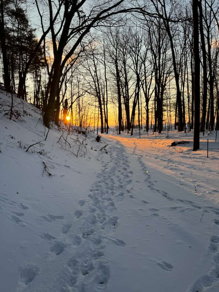 Stroll down this magical snow-dusted trail lined with towering trees as the sun sets over Lake Michigan. A perfect moment of winter calm and natural beauty