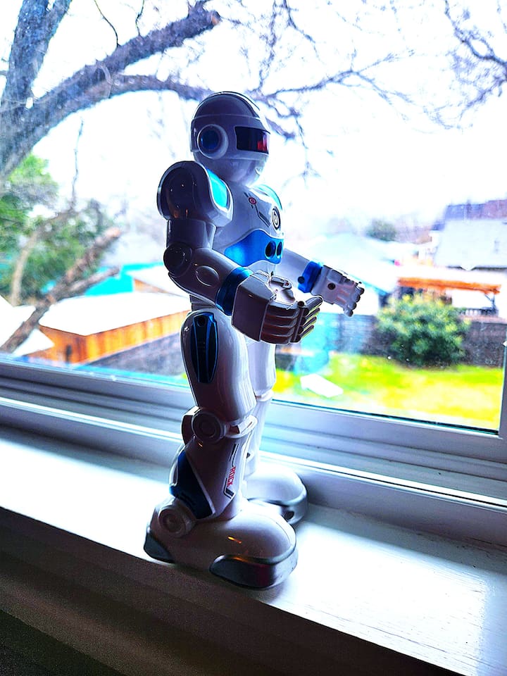 Howie SHOG loves the five windows facing the backyard where he can chastise the Boss'es cat Einstein.  