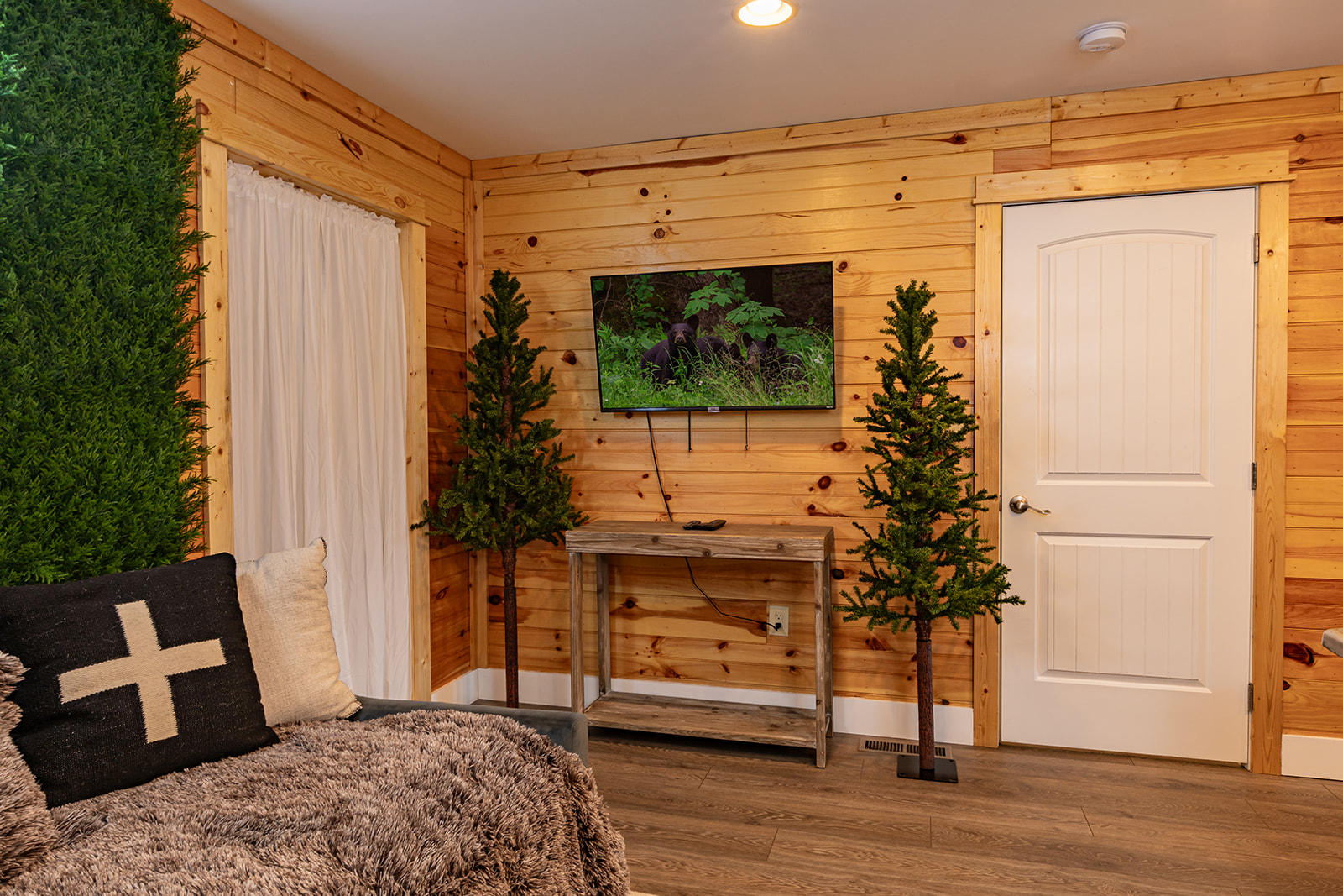 TV in game room near daybed