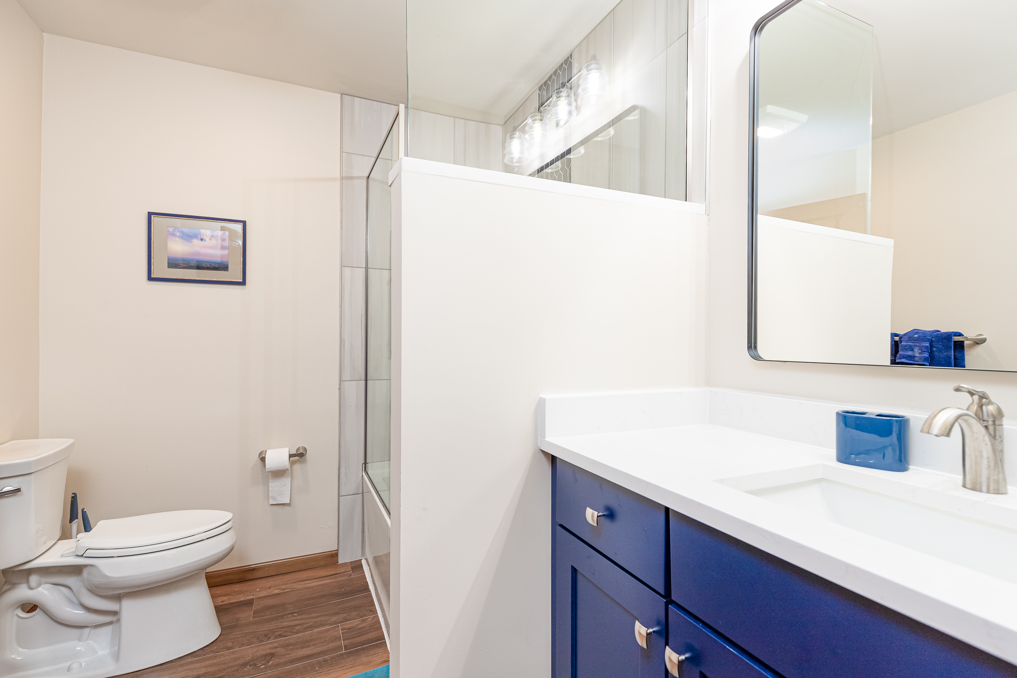 Main floor bathroom