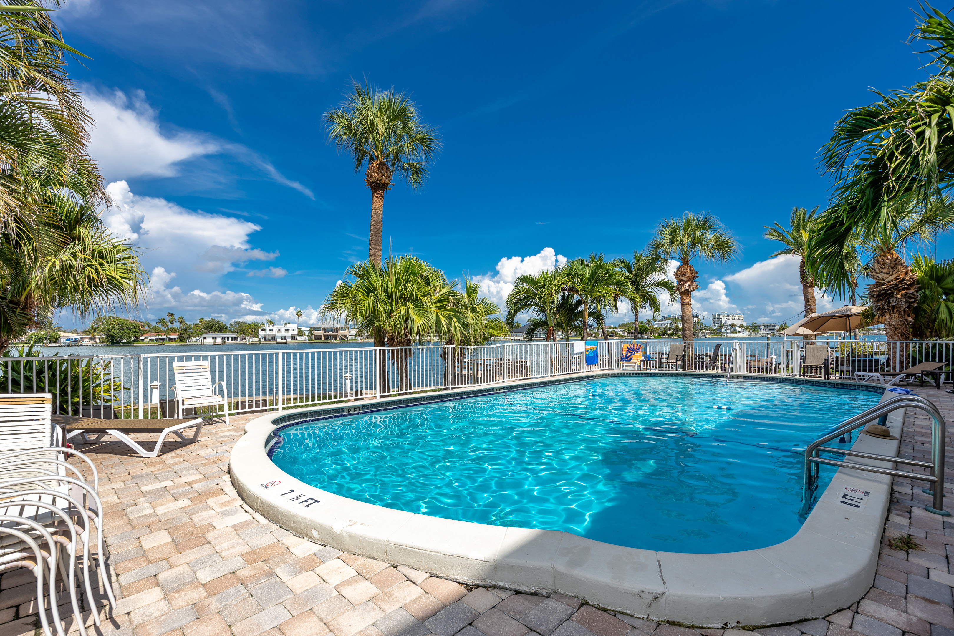 Swim With A View
