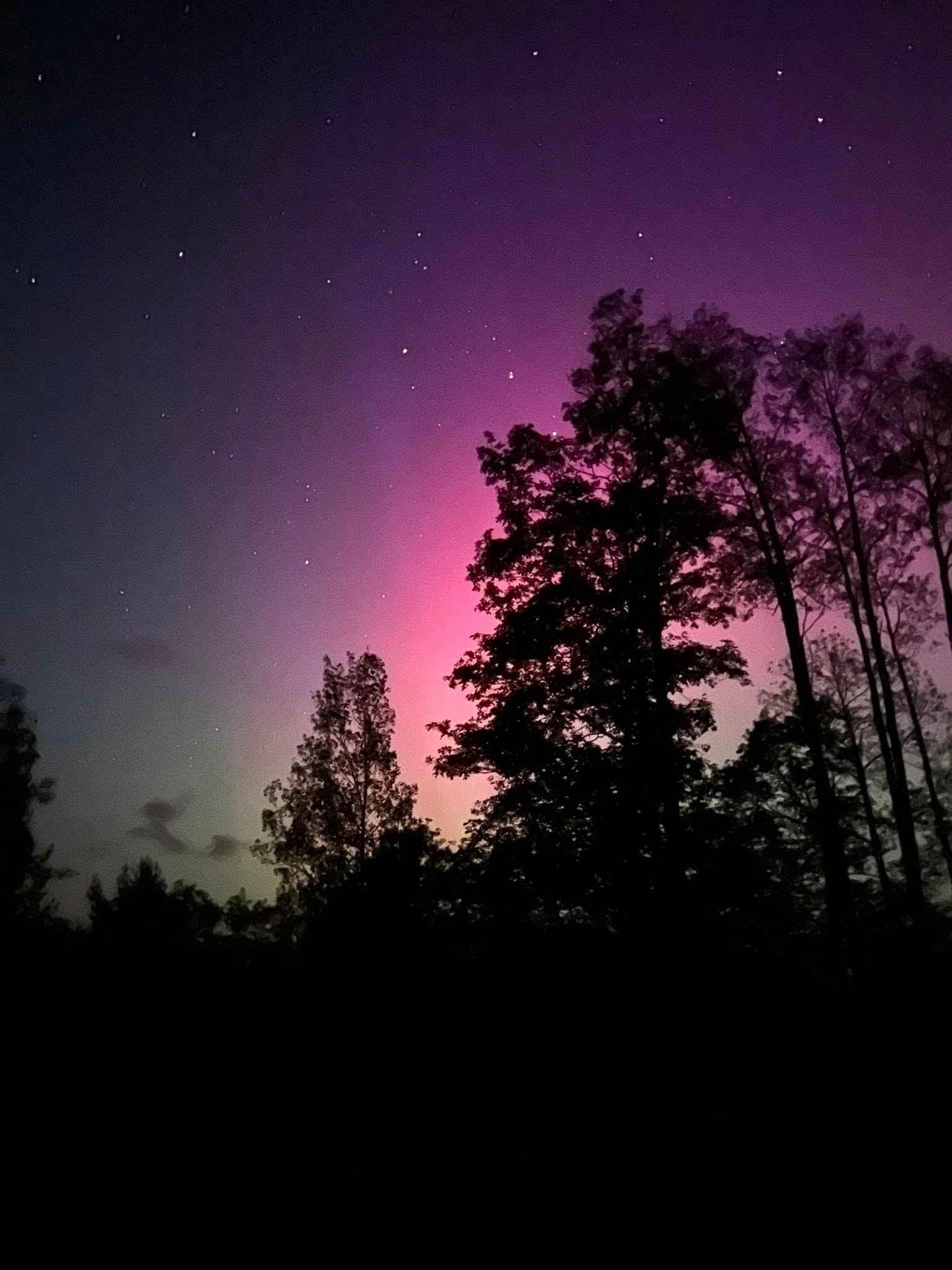 From the Deck