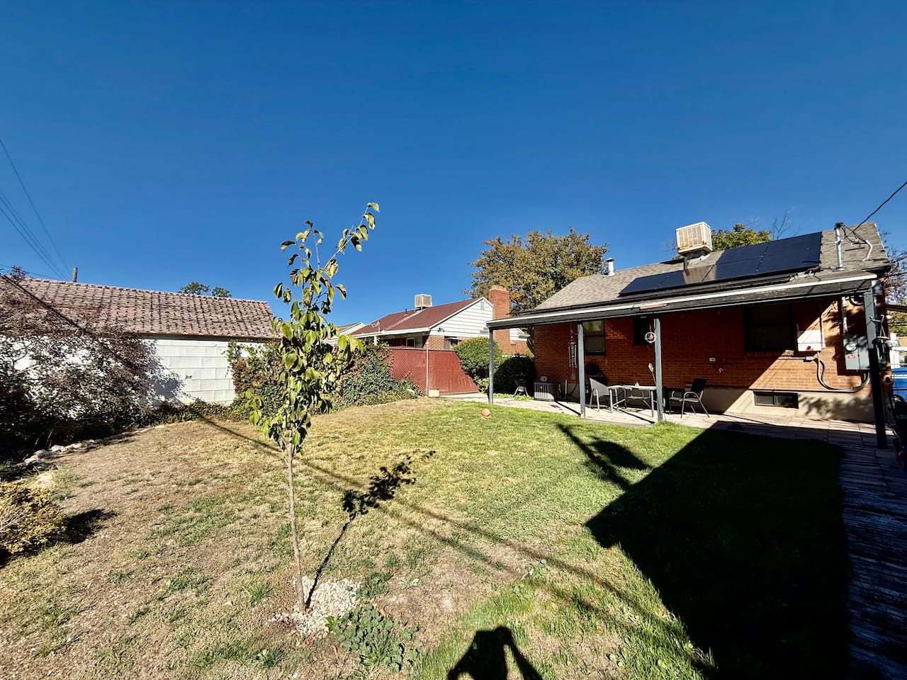 Backyard
