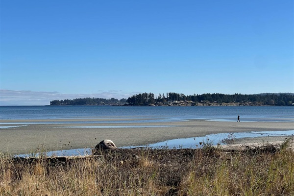 Beach behind the Resort. Beach access. 