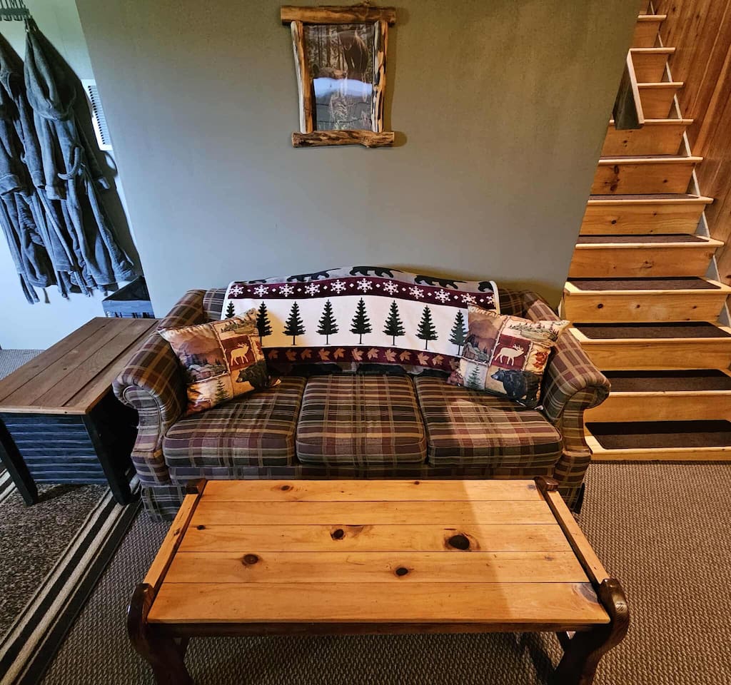 Couch/ Pull-out bed