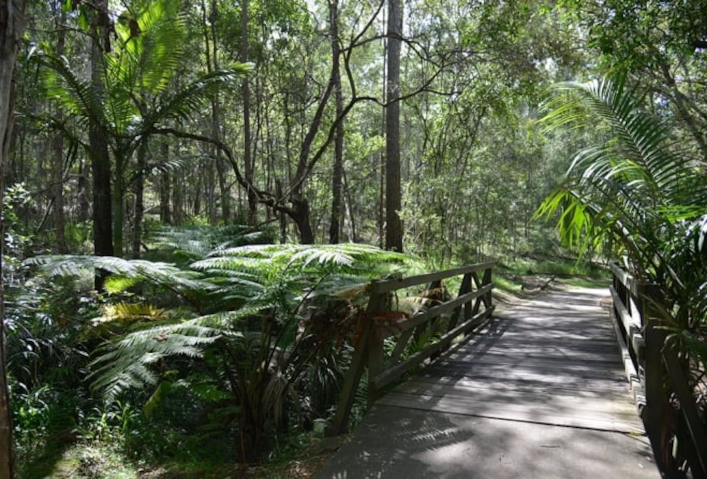 Cornubia Forest Nature Reserve with lush tropical greenery located just 5 min walk from home or 1 min drive. 
