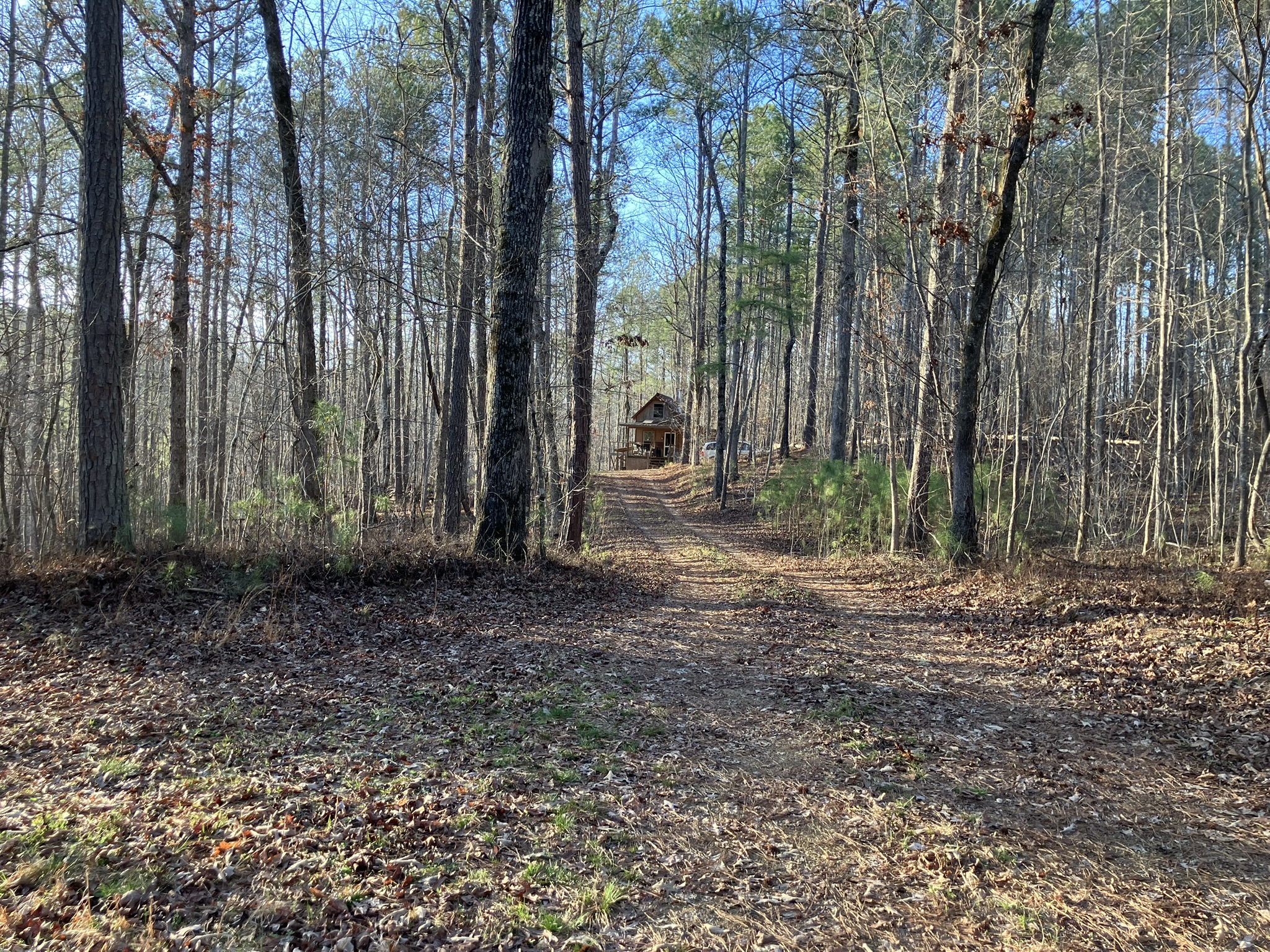 Road to the cabin.