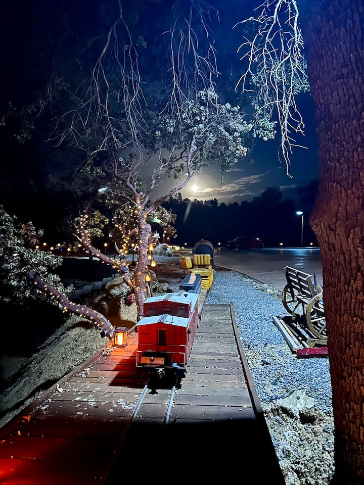 Train in the moon light