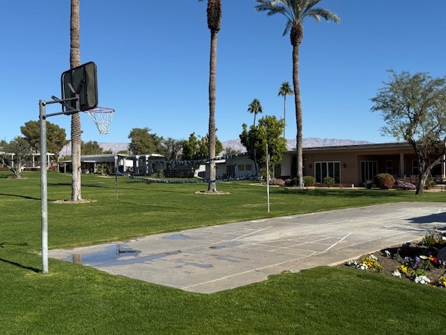 Basketball court