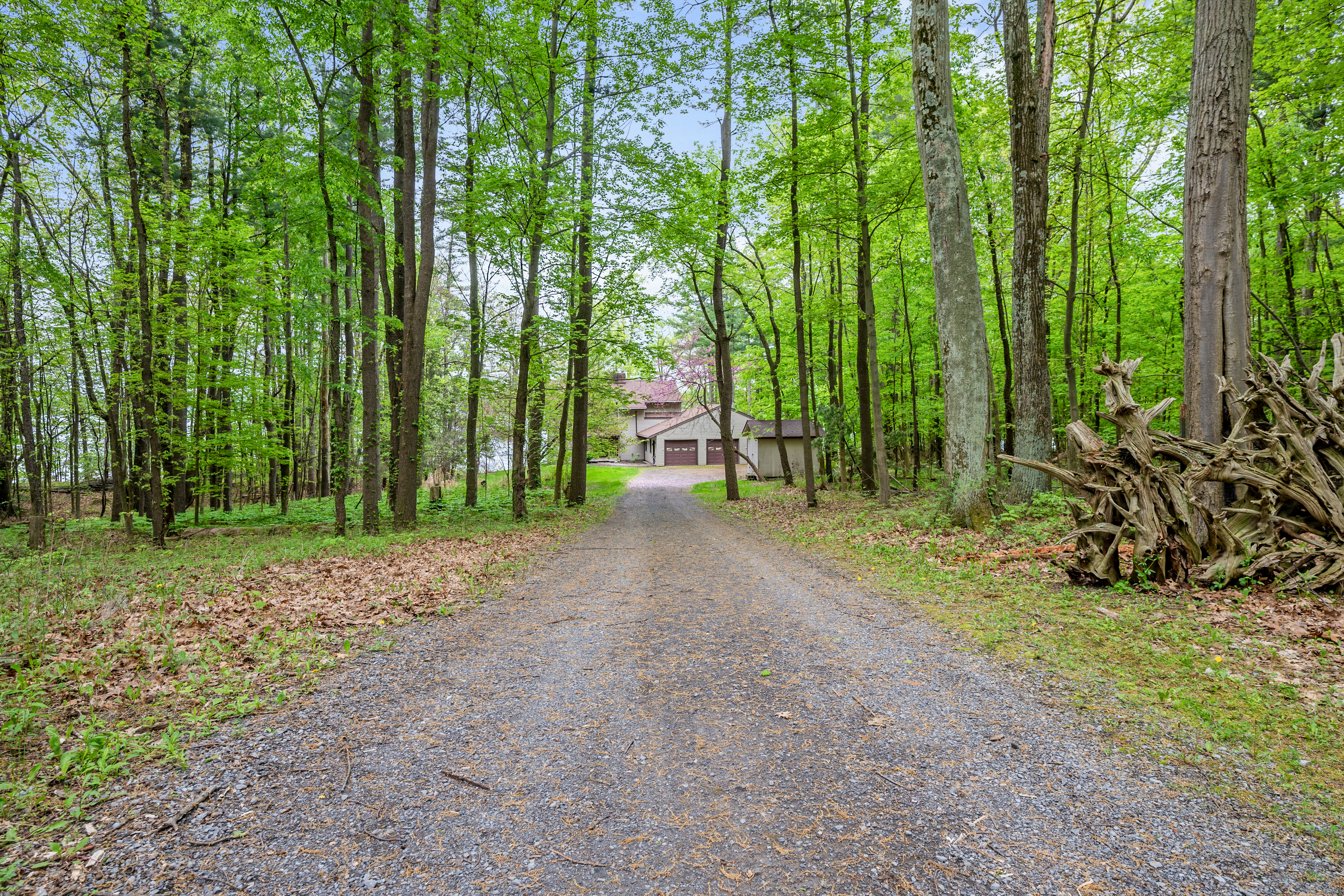 View 7