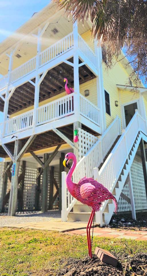 the lazy flamingo!!