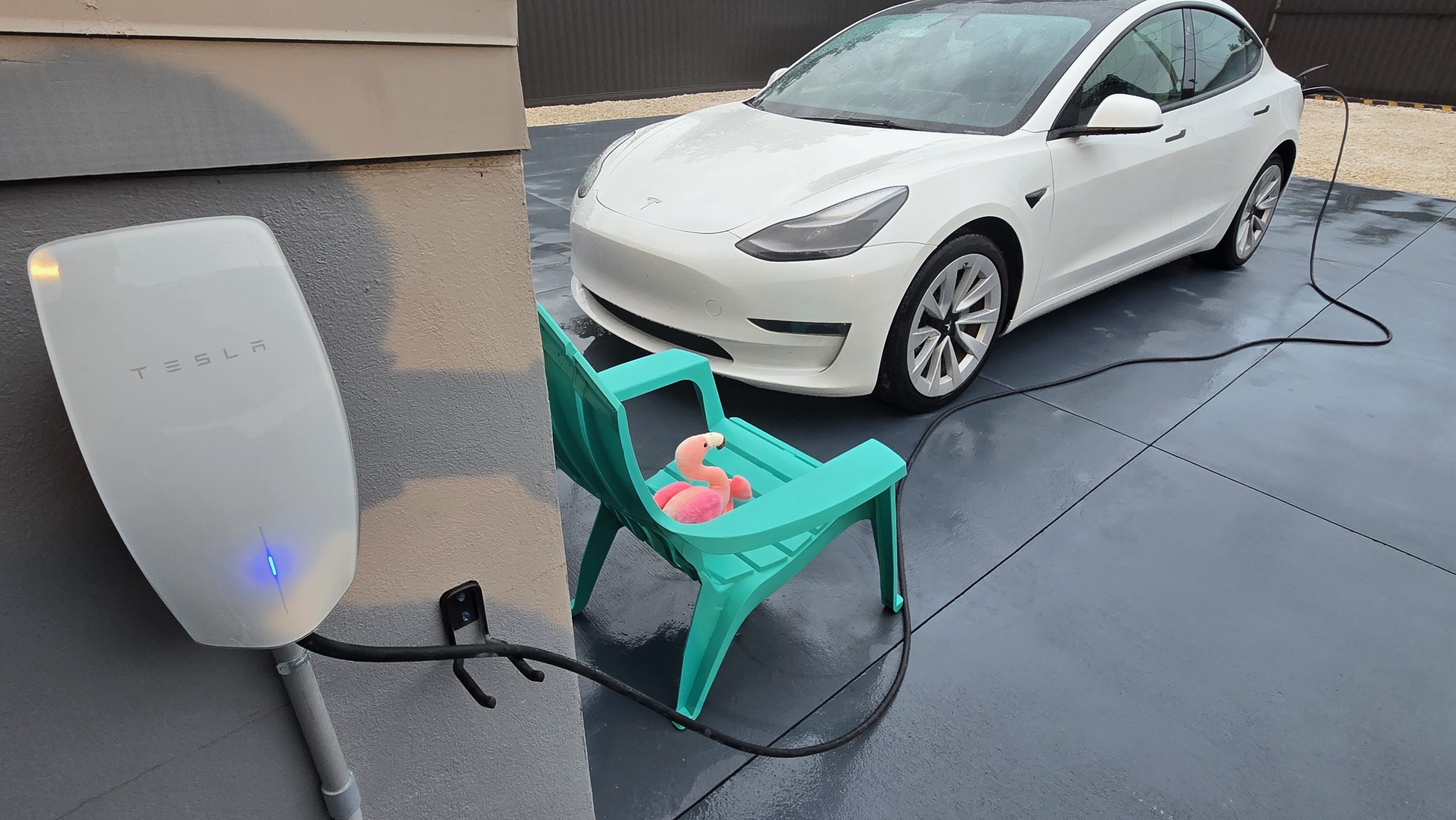 Tesla Electric Vehicle EV is charging with a NACS adapter. The charging station is in the gated backyard area and yes you are permitted to park on the concrete only while charging your EV. We have two adapters available, NACS and JJ1772.