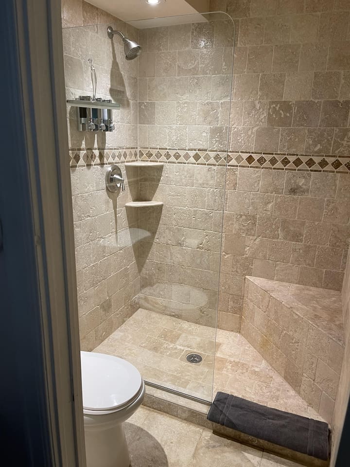 Shower view (both bathrooms)