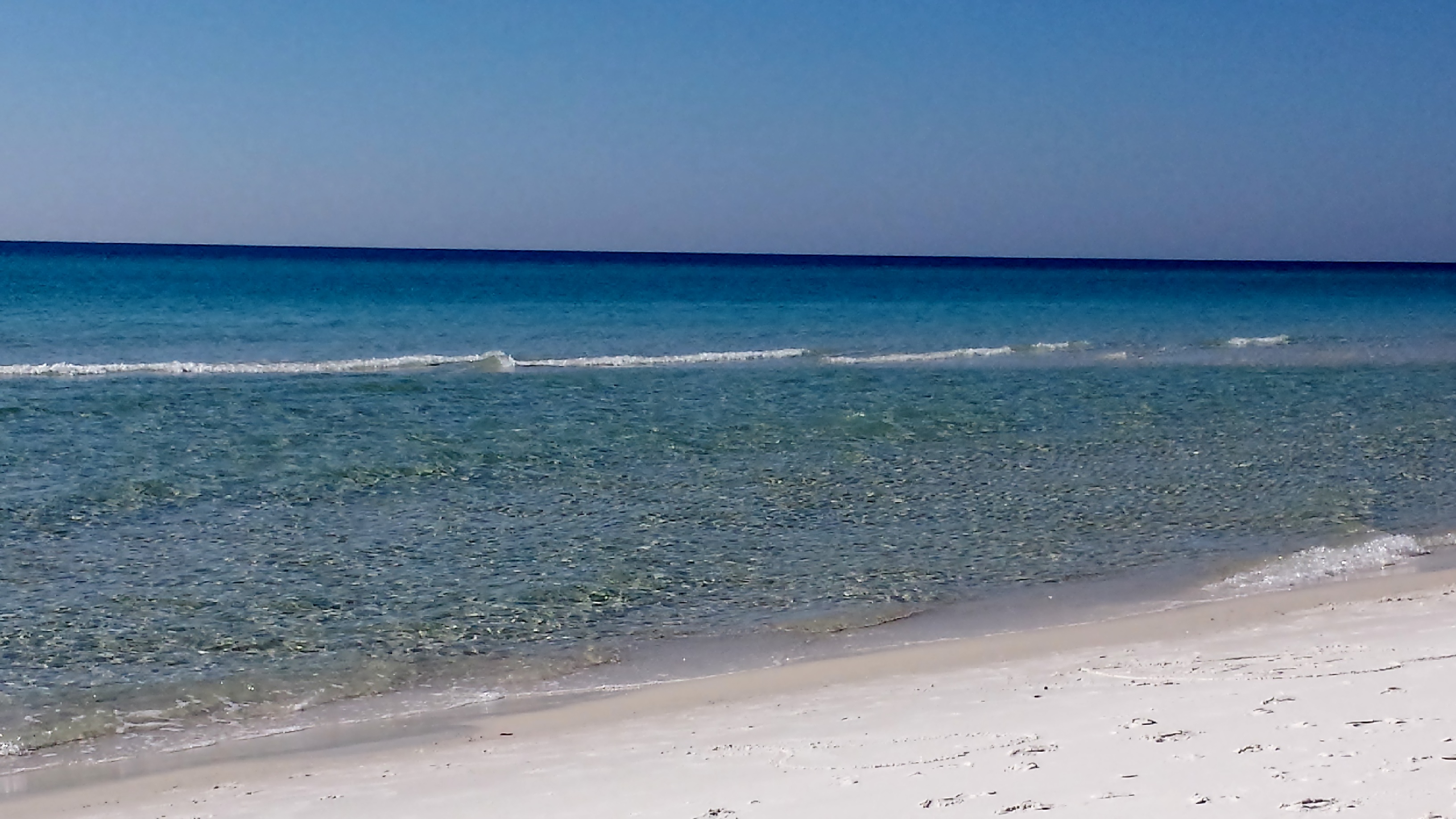 Another day in paradise!