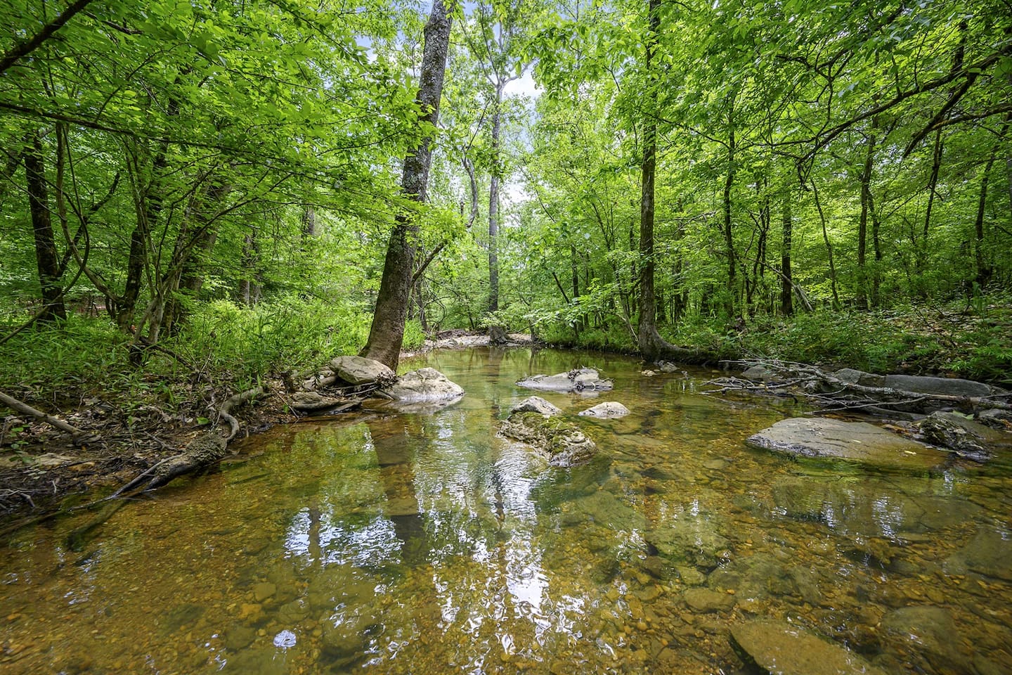 Seasonal creek to explore