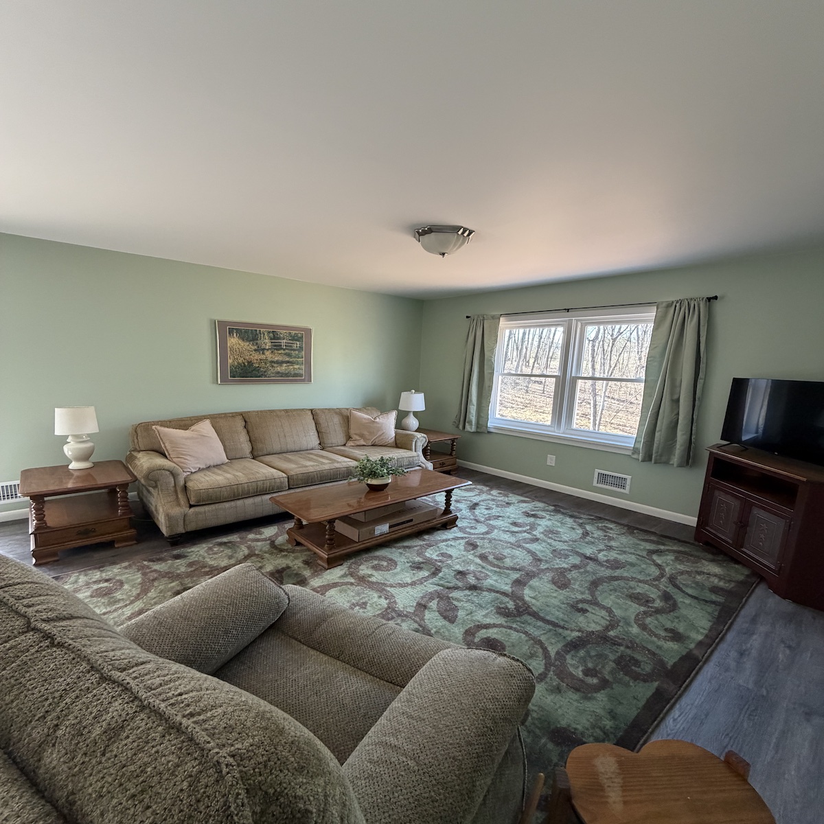 Cozy living room with woodland views