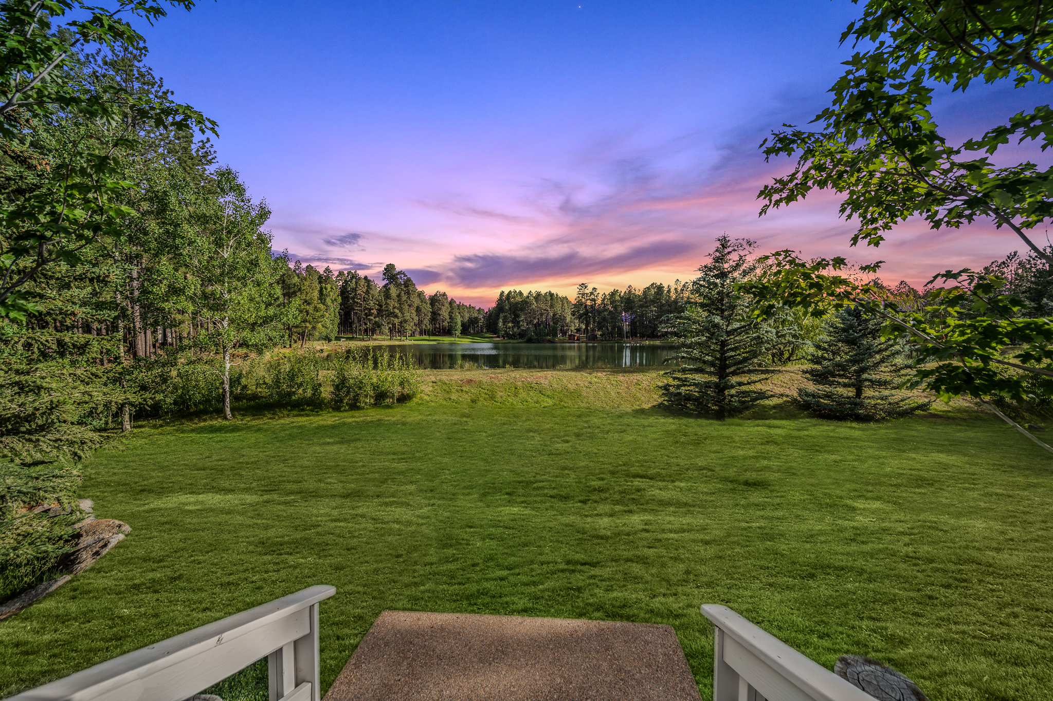 Back yard