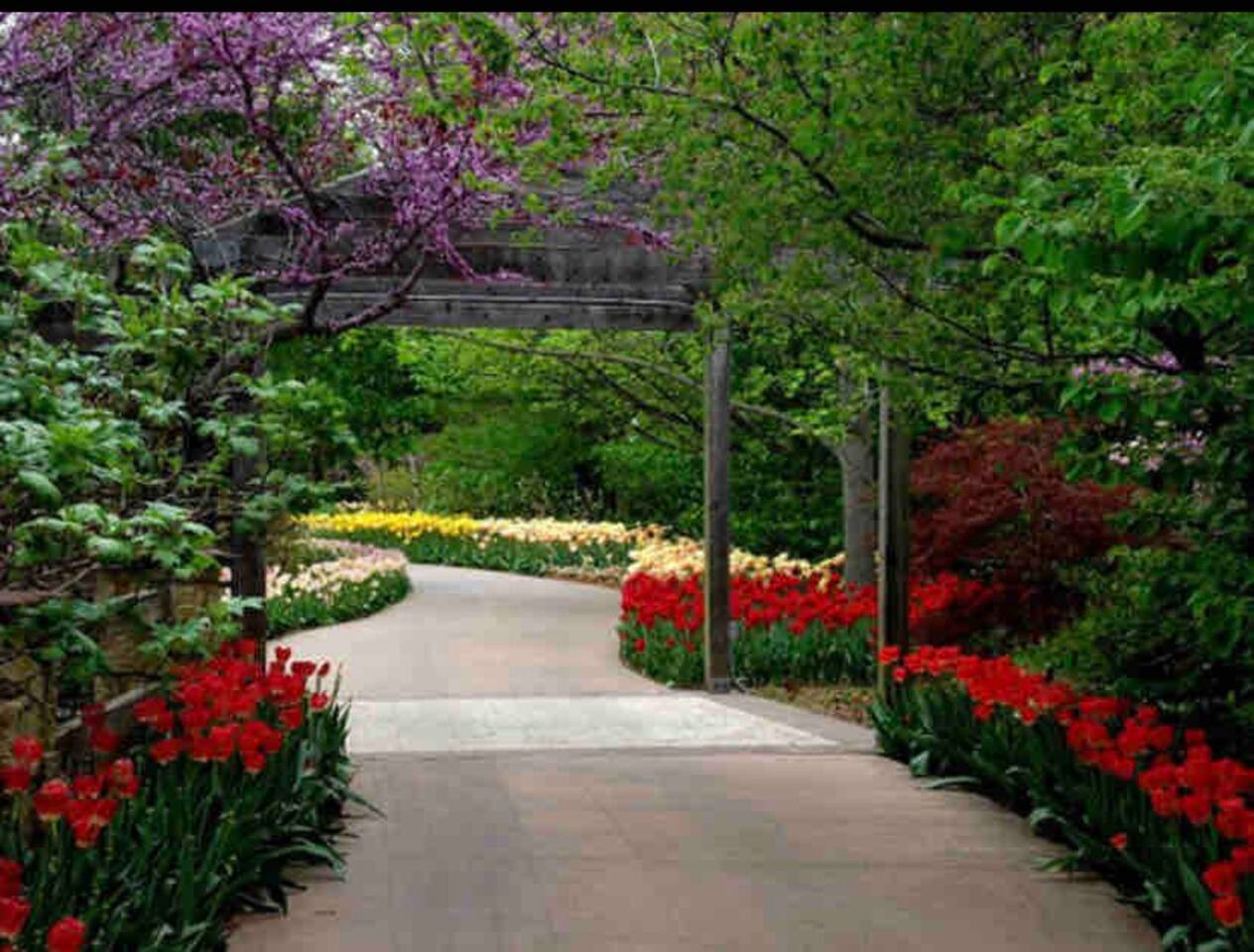 One of Wichita’s most visited attractions, Botanica, is only two blocks away! 