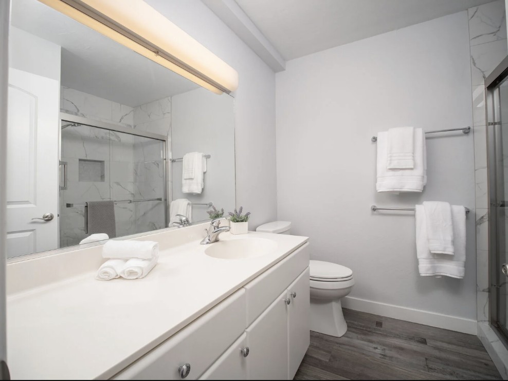 Guest Bathroom  downstairs