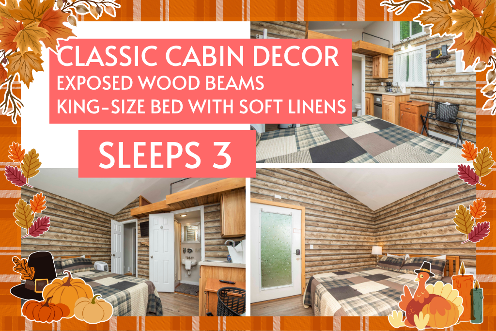 Classic cabin comfort with wood beams and space to sleep 3