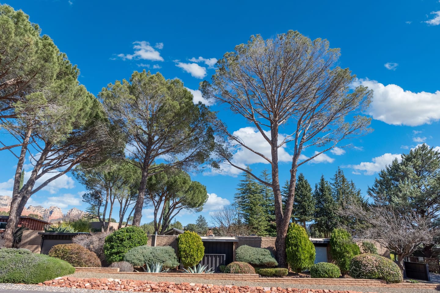 Towering pines and lush desert landscaping frame this peaceful Sedona retreat under bright blue skies.