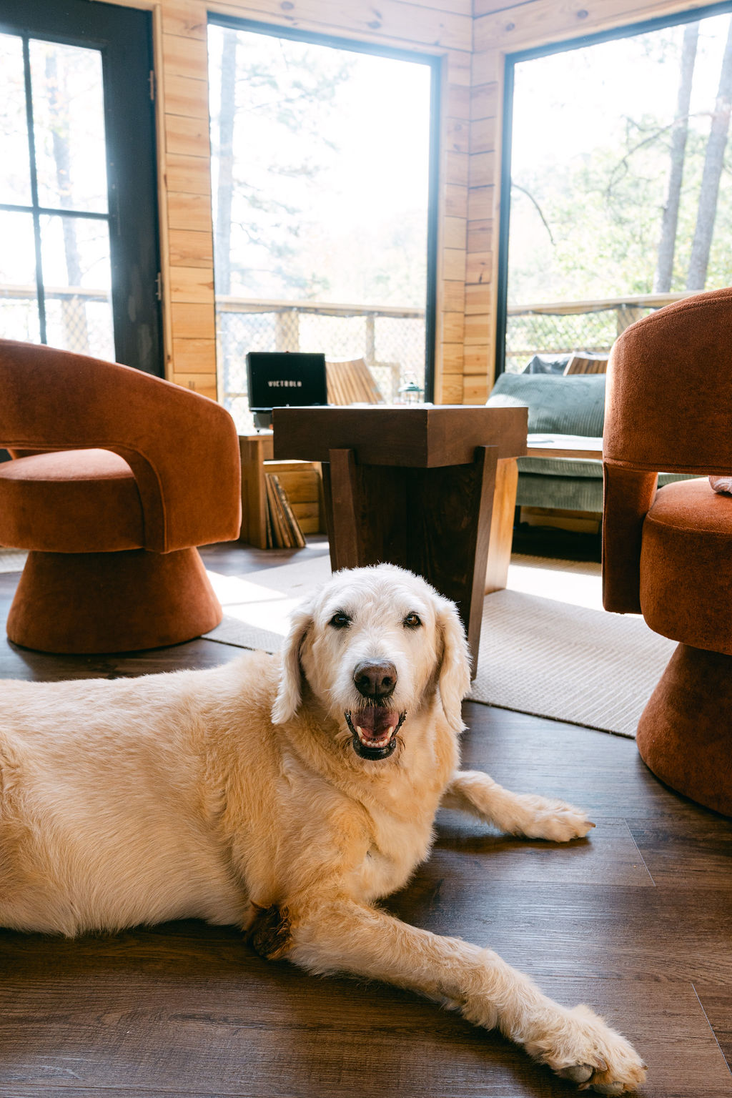 We all need a vacation