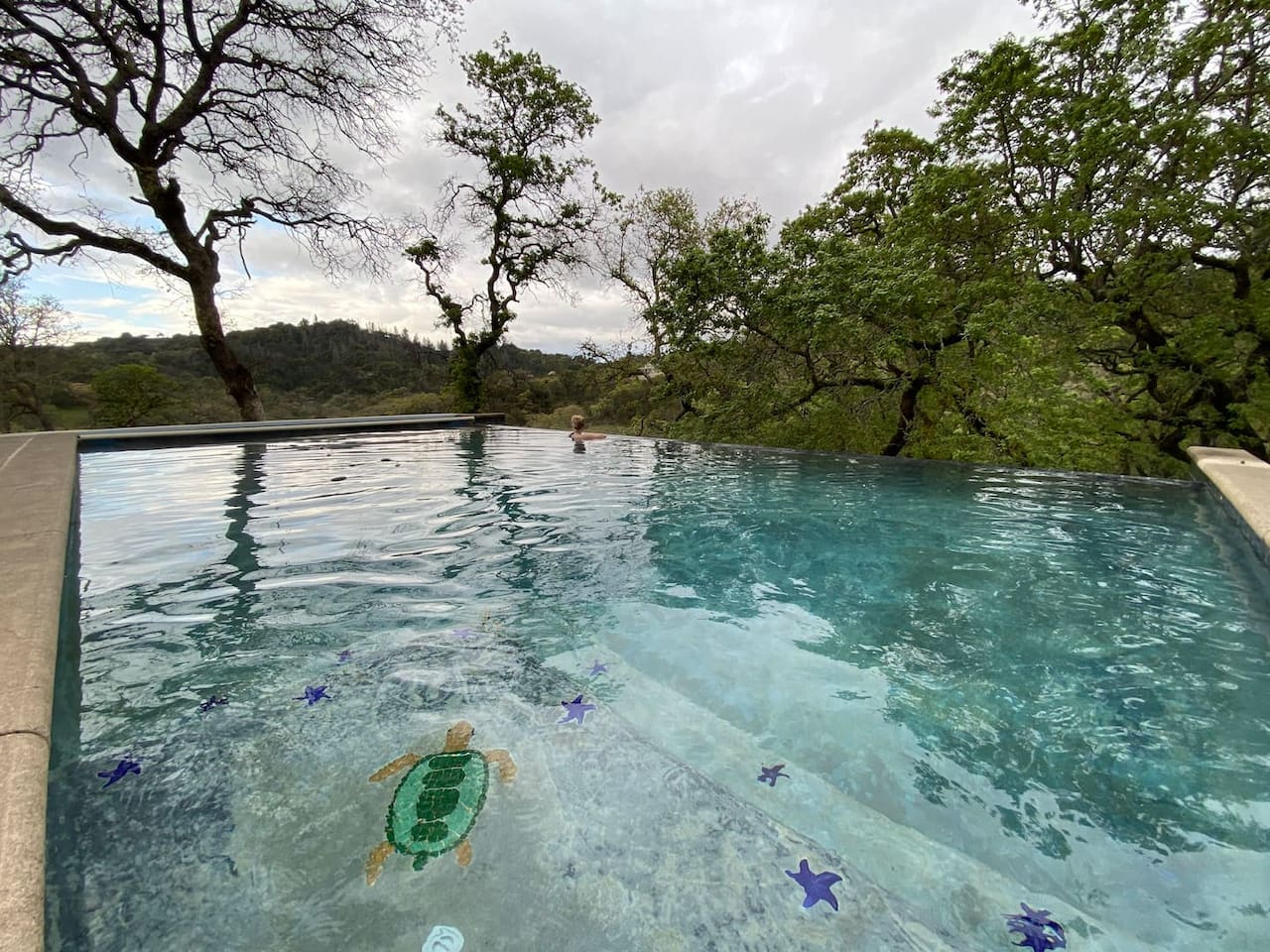 This photo depicts the peacefulness of the heated pool surrounded by the cool stillness of a January morning.