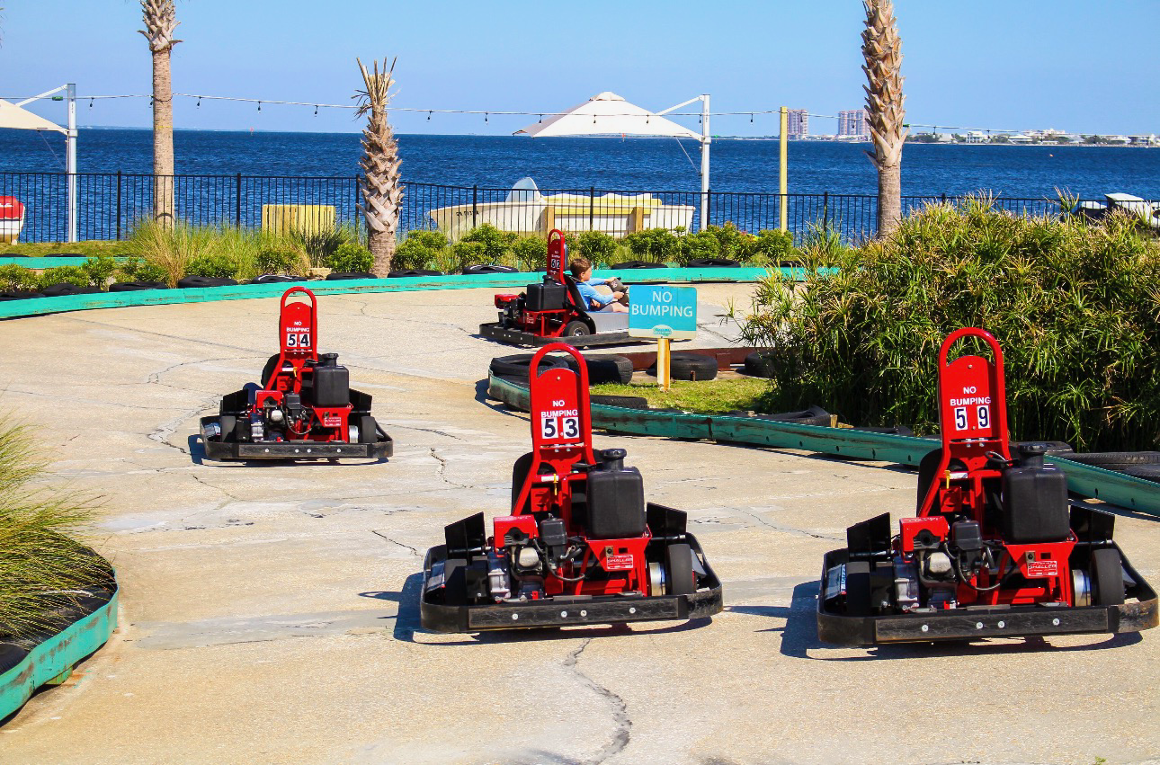 Go-Carts (Local Attraction)