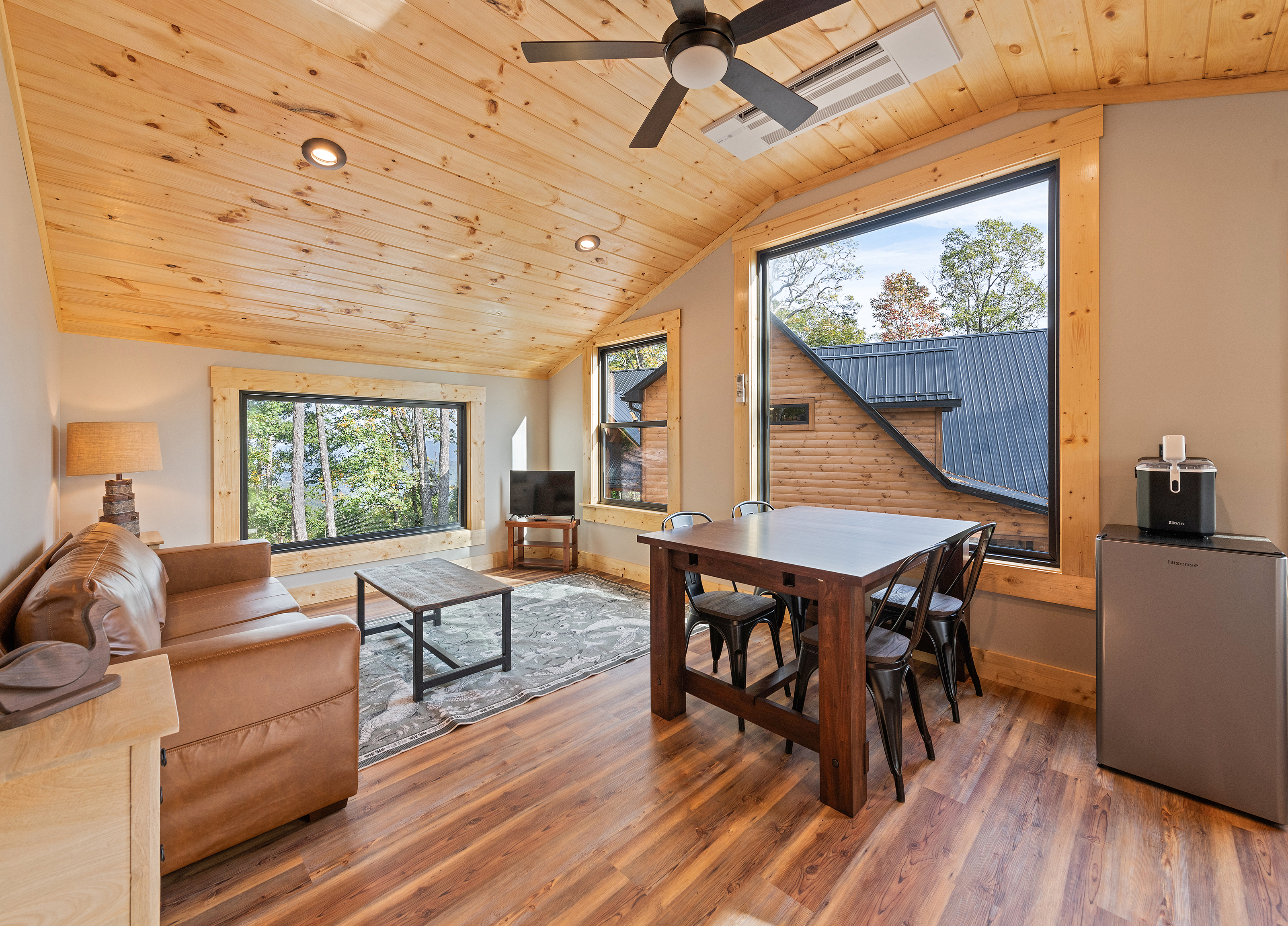 Garage Apartment Livingroom