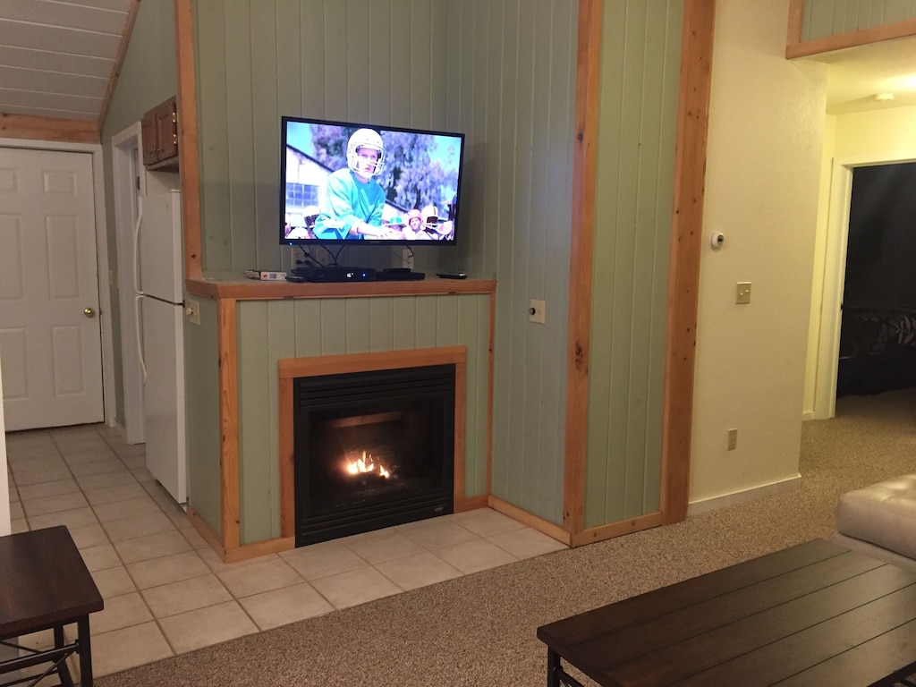 TV and Fireplace in Living Room