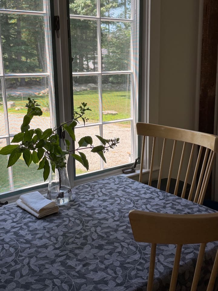 Kitchen Table and view