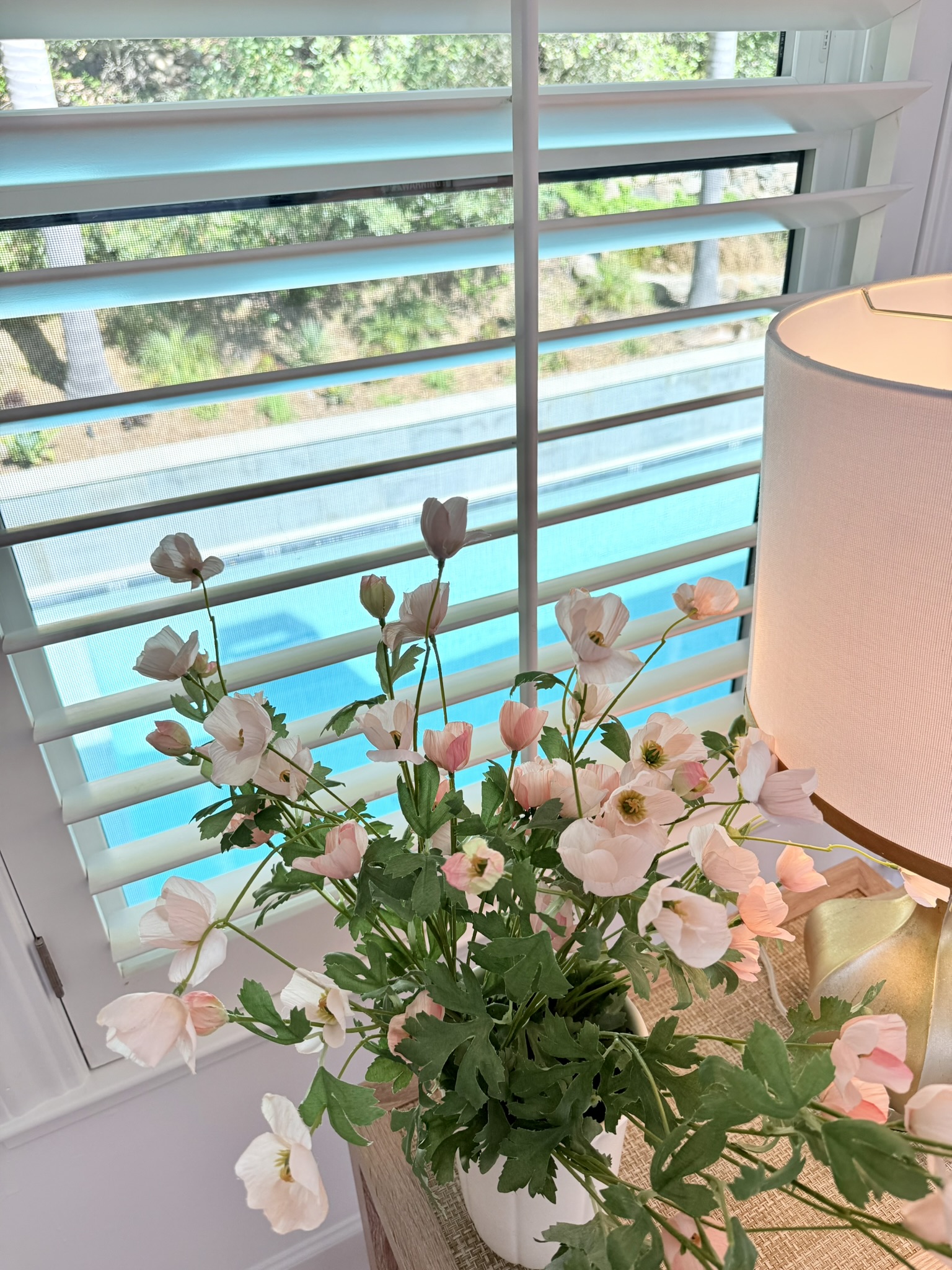 View of the Pool Oasis from The Twin Room