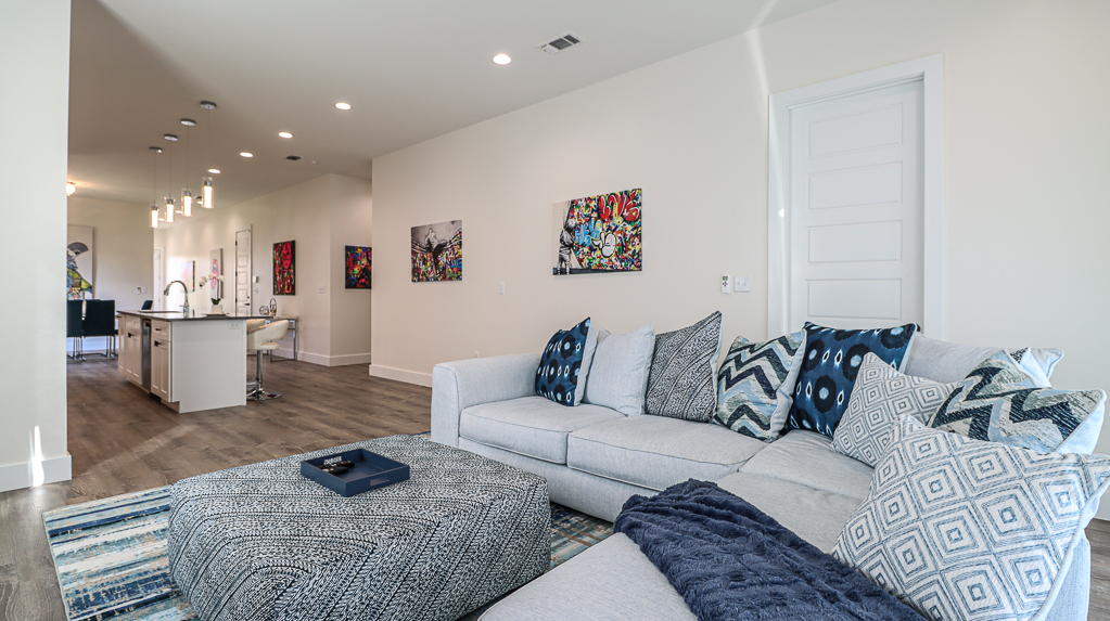 Luxurious and Modern Living Room