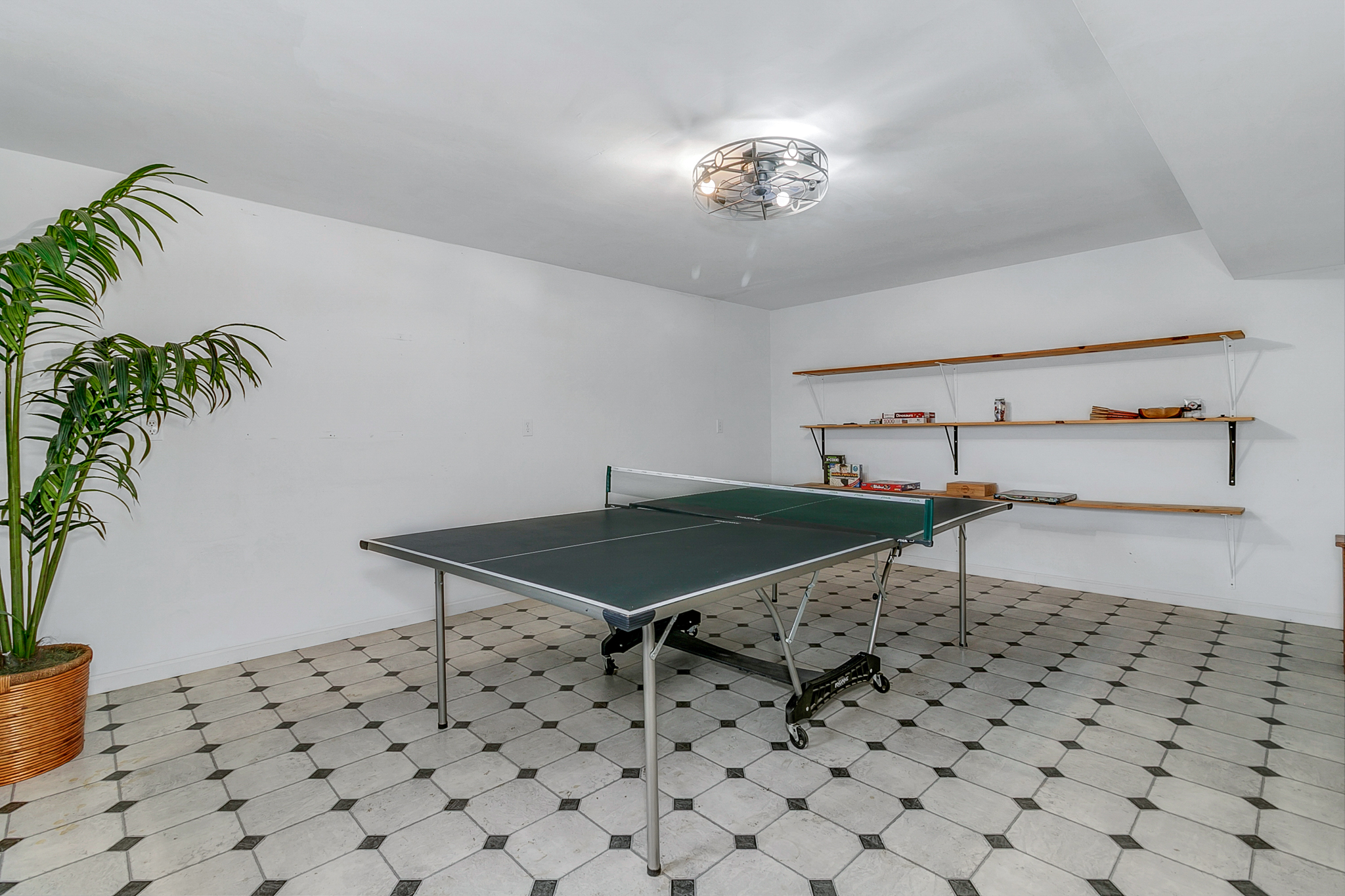 Basement Gameroom with Ping Pong Table