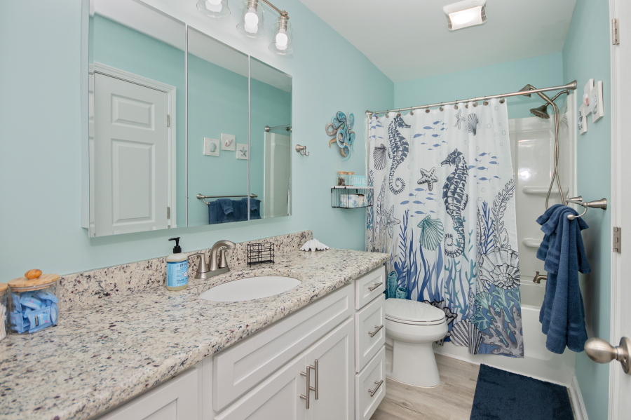 Great size hall bathroom!
