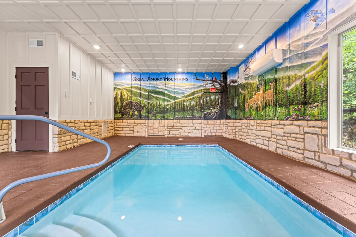 heated pool featuring smoky mountain hand painted views 