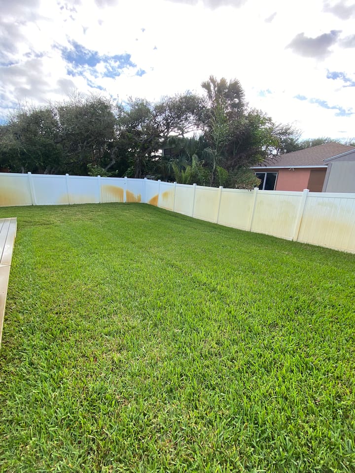 Backyard